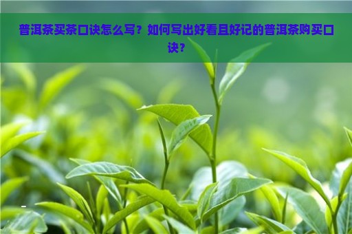 普洱茶买茶口诀怎么写？如何写出好看且好记的普洱茶购买口诀？