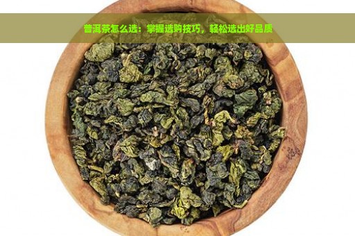 普洱茶怎么选：掌握选购技巧，轻松选出好品质