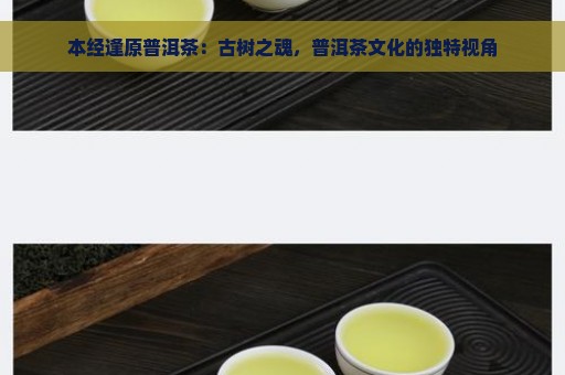 本经逢原普洱茶：古树之魂，普洱茶文化的独特视角