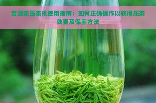 普洱茶压茶机使用指南：如何正确操作以获得压茶效果及保养方法