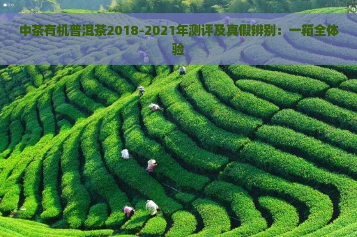 中茶有机普洱茶2018-2021年测评及真假辨别：一箱全体验