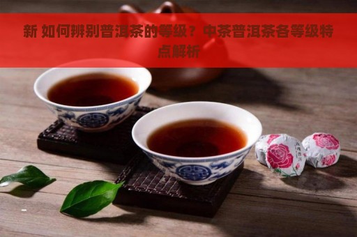 新 如何辨别普洱茶的等级？中茶普洱茶各等级特点解析