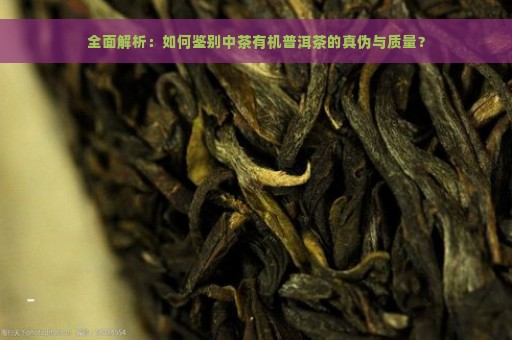 全面解析：如何鉴别中茶有机普洱茶的真伪与质量？