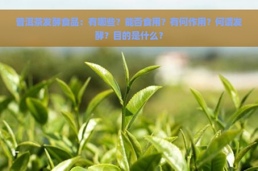 普洱茶发酵食品：有哪些？能否食用？有何作用？何谓发酵？目的是什么？