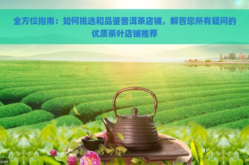 全方位指南：如何挑选和品鉴普洱茶店铺，解答您所有疑问的优质茶叶店铺推荐