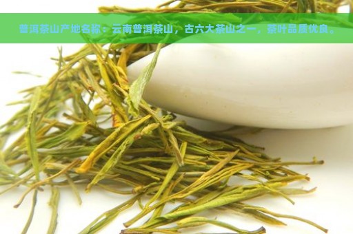 普洱茶山产地名称：云南普洱茶山，古六大茶山之一，茶叶品质优良。