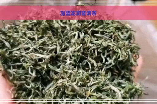 加盟龙润普洱茶