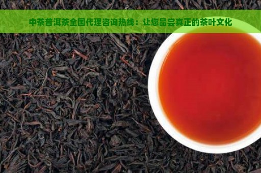 中茶普洱茶全国代理咨询热线：让您品尝真正的茶叶文化