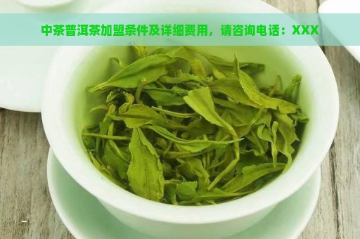 中茶普洱茶加盟条件及详细费用，请咨询电话：XXX