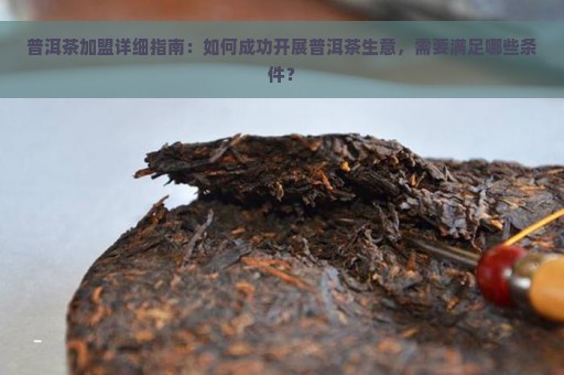 普洱茶加盟详细指南：如何成功开展普洱茶生意，需要满足哪些条件？