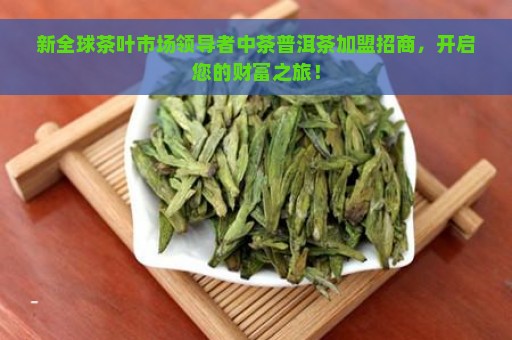 新全球茶叶市场领导者中茶普洱茶加盟招商，开启您的财富之旅！