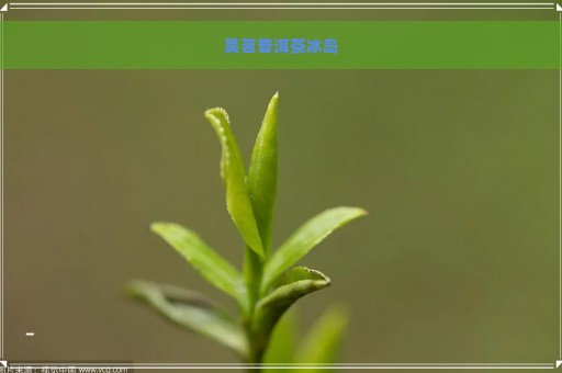 昊茗普洱茶冰岛