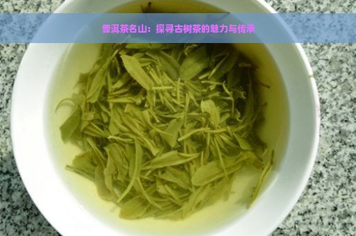 普洱茶名山：探寻古树茶的魅力与传承