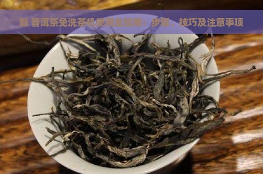 新 普洱茶免洗茶机使用全指南：步骤、技巧及注意事项