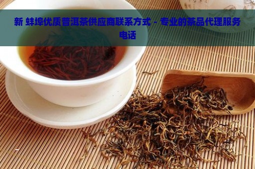 新 蚌埠优质普洱茶供应商联系方式 - 专业的茶品代理服务电话