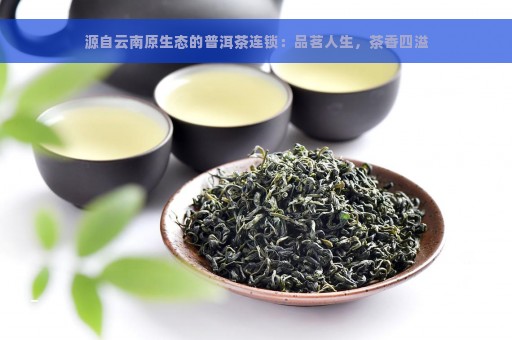 源自云南原生态的普洱茶连锁：品茗人生，茶香四溢