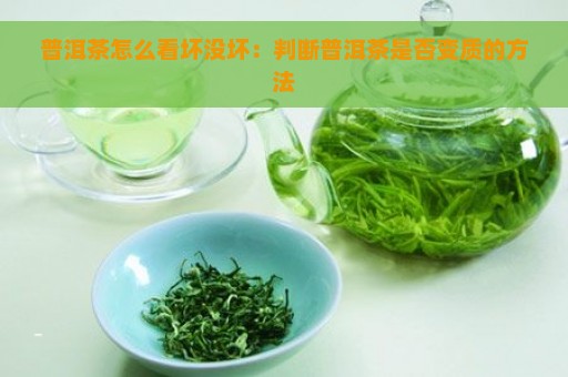 普洱茶怎么看坏没坏：判断普洱茶是否变质的方法