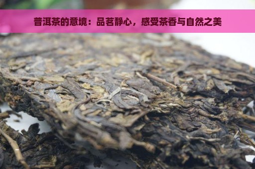 普洱茶的意境：品茗静心，感受茶香与自然之美