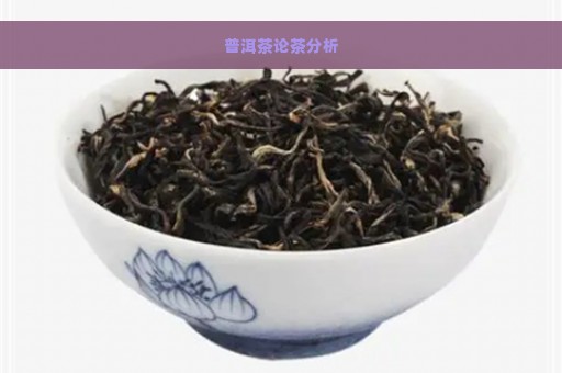 普洱茶论茶分析