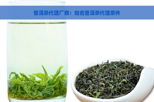 普洱茶代理厂商：知名普洱茶代理条件