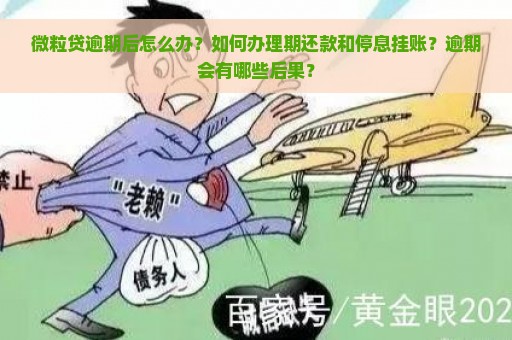 微粒贷逾期后怎么办？如何办理期还款和停息挂账？逾期会有哪些后果？