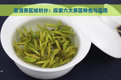 普洱茶区域划分：探索六大茶区特色与品质