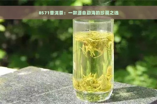 8571普洱茶：一款源自勐海的珍藏之选