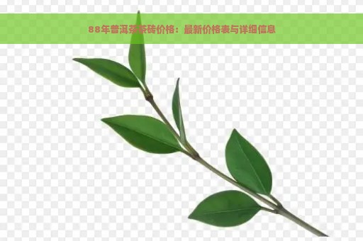 88年普洱茶茶砖价格：最新价格表与详细信息