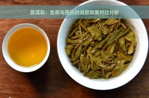 普洱茶：生茶与熟茶的减肥效果对比分析