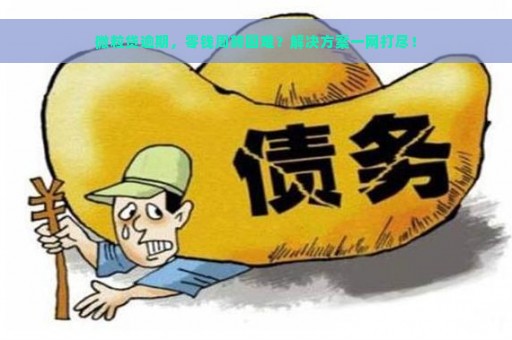 微粒贷逾期，零钱周转困难？解决方案一网打尽！