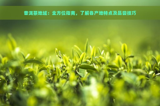 普洱茶地域：全方位指南，了解各产地特点及品尝技巧