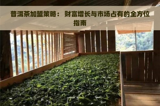 普洱茶加盟策略： 财富增长与市场占有的全方位指南