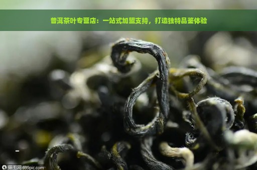 普洱茶叶专营店：一站式加盟支持，打造独特品鉴体验