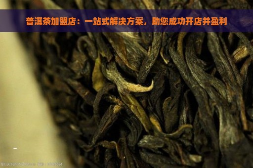 普洱茶加盟店：一站式解决方案，助您成功开店并盈利