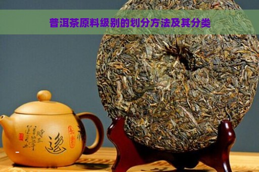 普洱茶原料级别的划分方法及其分类