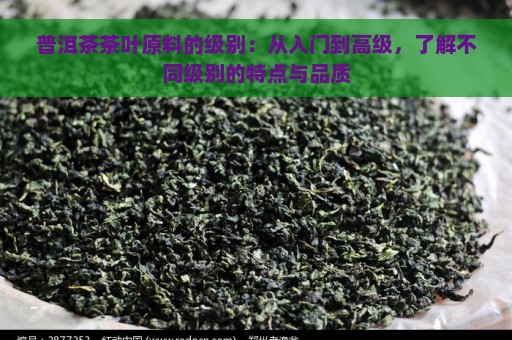 普洱茶茶叶原料的级别：从入门到高级，了解不同级别的特点与品质