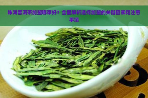 珠海普洱茶加盟哪家好？全面解析选择加盟的关键因素和注意事项