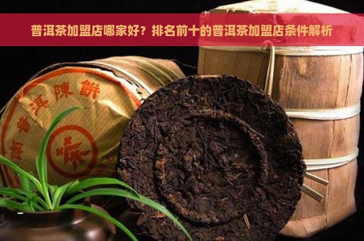 普洱茶加盟店哪家好？排名前十的普洱茶加盟店条件解析