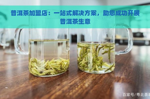 普洱茶加盟店：一站式解决方案，助您成功开展普洱茶生意