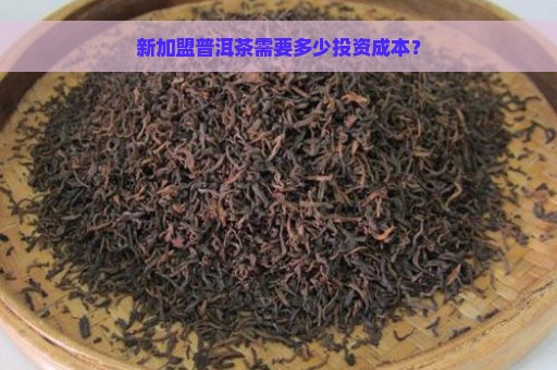 新加盟普洱茶需要多少投资成本？