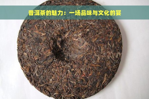 普洱茶的魅力：一场品味与文化的宴