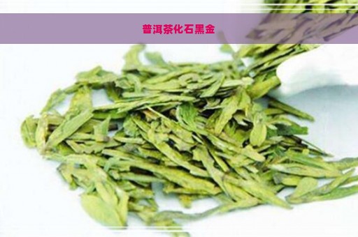 普洱茶化石黑金