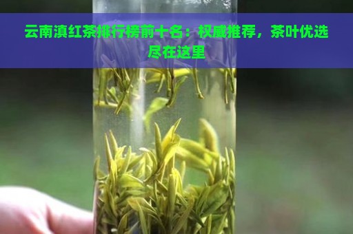 云南滇红茶排行榜前十名：权威推荐，茶叶优选尽在这里