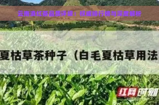 云南滇红茶品质评级：权威排行榜与深度解析