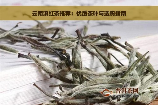 云南滇红茶推荐：优质茶叶与选购指南