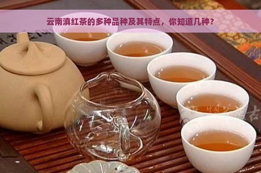 云南滇红茶的多种品种及其特点，你知道几种？