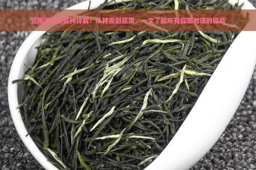 云南滇红茶品种详解：从种类到品质，一文了解所有你想知道的信息