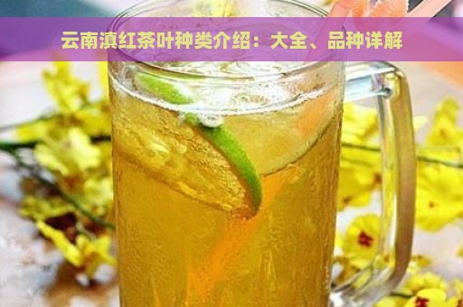 云南滇红茶叶种类介绍：大全、品种详解