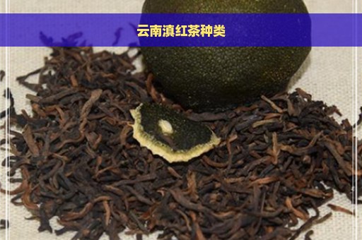 云南滇红茶种类