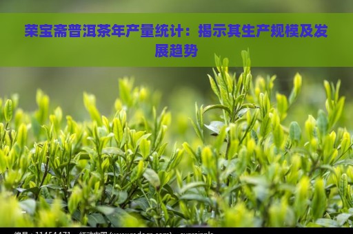 荣宝斋普洱茶年产量统计：揭示其生产规模及发展趋势